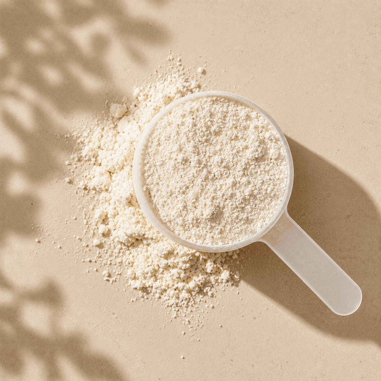 Whey Protein